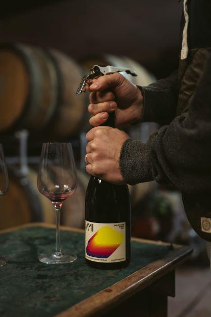 Bourgogne Rouge 2020 - Tales of Terroir - Artisan Wines